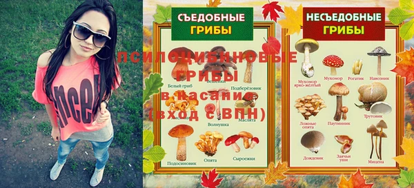 не бодяженный Дмитров