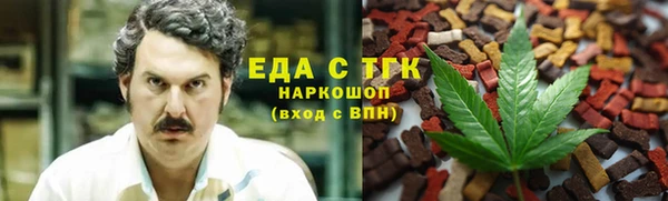 spice Дмитриев