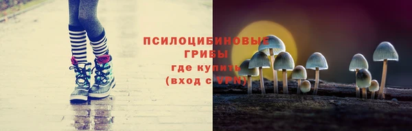 mdpv Дмитровск