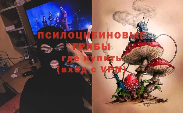 spice Дмитриев