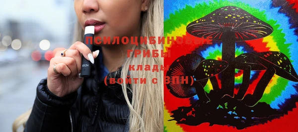 spice Дмитриев