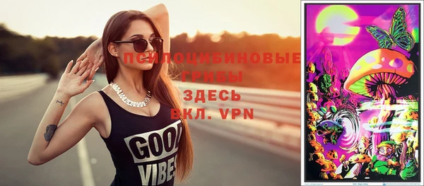 spice Дмитриев