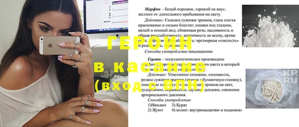 spice Дмитриев