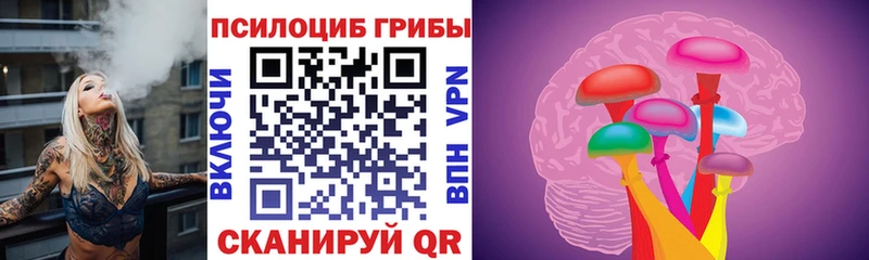 Галлюциногенные грибы Psilocybine cubensis  где купить наркоту  Ишимбай 