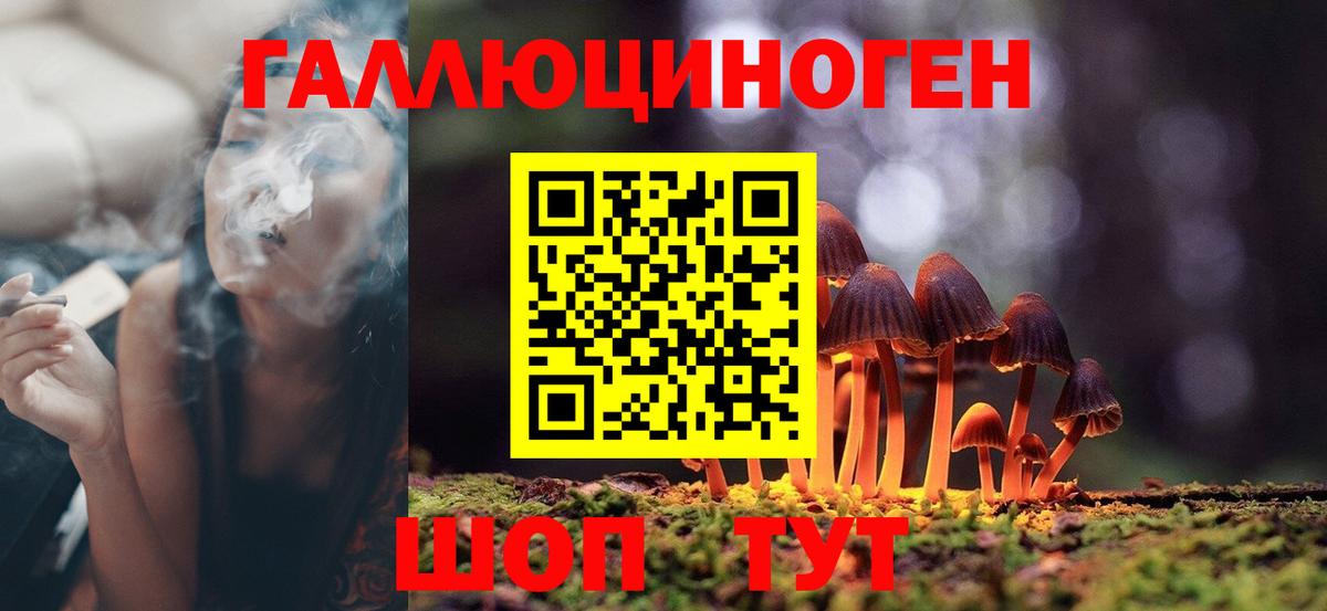 Ишимбай  Галлюциногенные грибы MAGIC MUSHROOMS  Вход с VPN  Псилоцибиновые грибы Magic Shrooms 